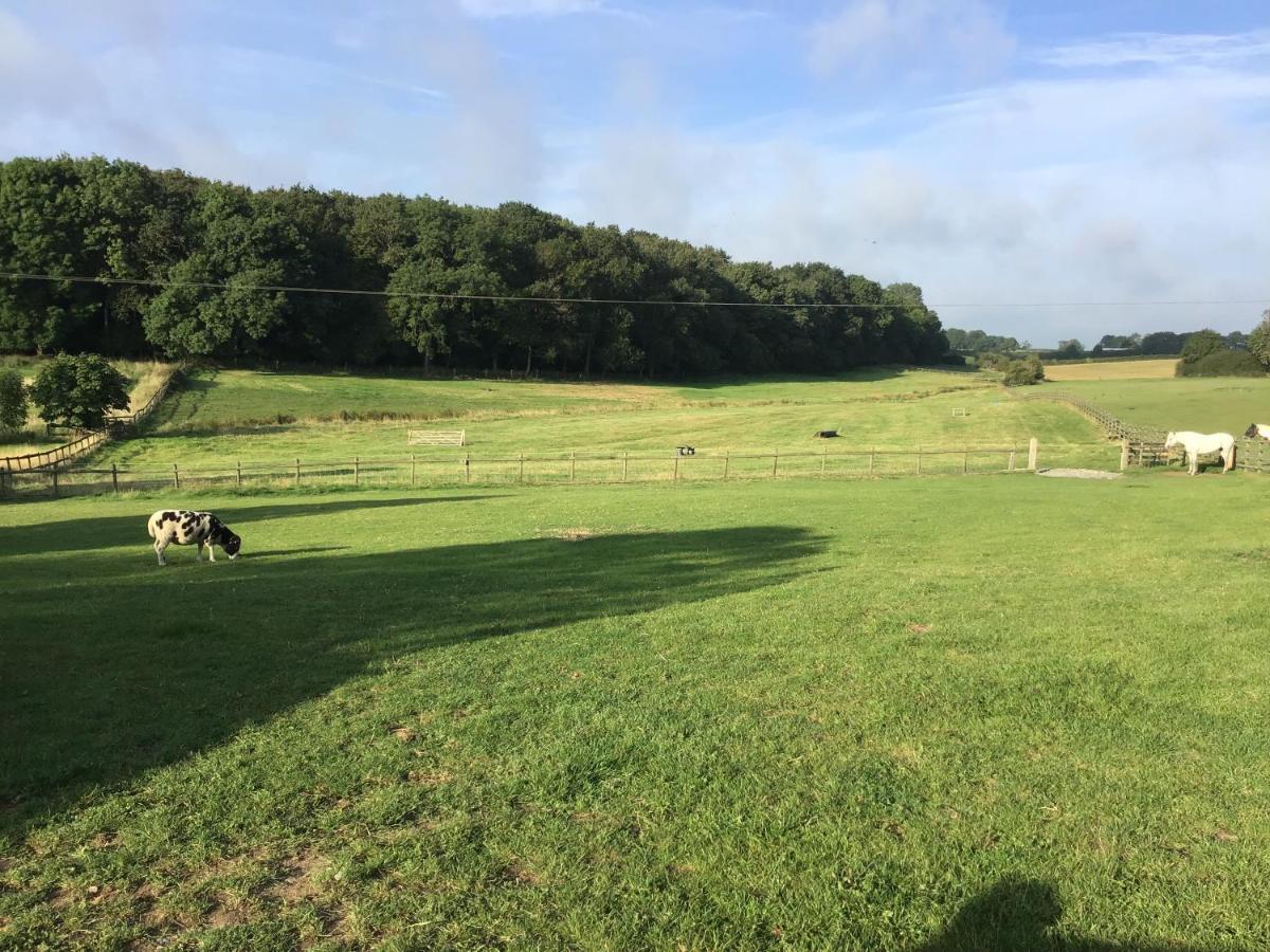 The Grange Silverstone Towcester Ngoại thất bức ảnh